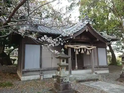 藤井神社の本殿