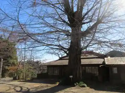 弘法山観世音(埼玉県)