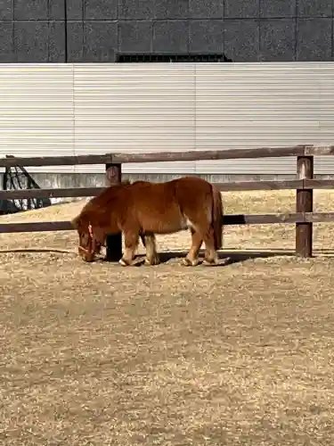 五方山熊野神社の{uncategorized: "未分類", other: "その他", undefined: "問題あり", building: "その他建物", grave: "お墓", sacred_gate: "鳥居", guardian: "狛犬", statue: "像", buddha: "仏像", history: "歴史", nature: "自然", garden: "庭園", animal: "動物", pagoda: "塔", temizu: "手水舎", mountain_gate: "山門・神門", sanctuary: "本殿・本堂", subordinate: "末社・摂社", art: "芸術", scenery: "景色", jizo: "地蔵", ema: "絵馬", goshuin: "御朱印", omikuji: "おみくじ", items: "授与品その他", amulet: "お守り", goshuincho: "御朱印帳", eats: "食事", festival: "お祭り", votive_dance: "神楽", shichigosan: "七五三参", wedding: "結婚式", experience: "体験その他", initially: "初詣", around: "周辺", anti_infection: "感染症対策"}