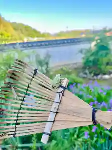 浄土寺(兵庫県)(2024年05月14日(火) 07時28分39秒投稿)