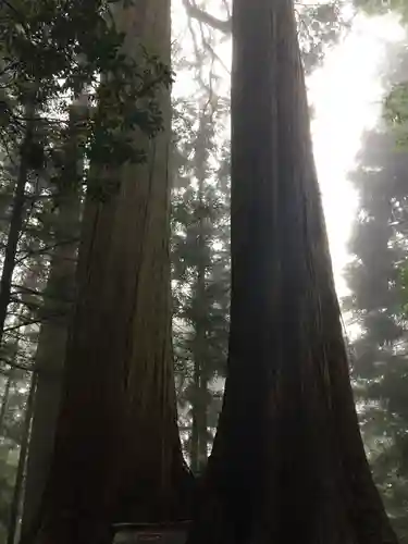 三峯神社の自然