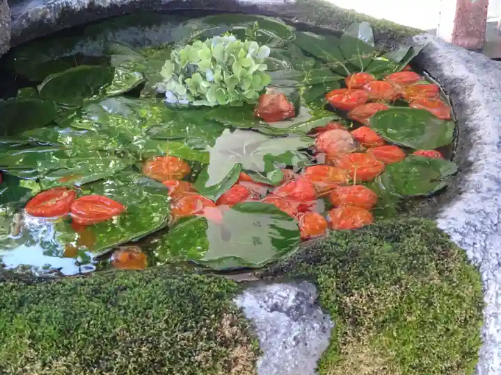 出雲大社相模分祠の手水舎