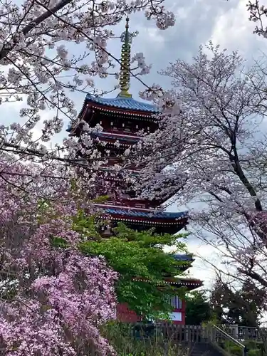 本土寺(千葉県)