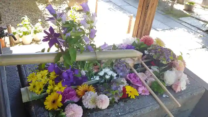 勝林寺の手水舎