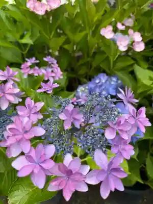 釜滝薬師金剛寺の{uncategorized: "未分類", other: "その他", undefined: "問題あり", building: "その他建物", grave: "お墓", sacred_gate: "鳥居", guardian: "狛犬", statue: "像", buddha: "仏像", history: "歴史", nature: "自然", garden: "庭園", animal: "動物", pagoda: "塔", temizu: "手水舎", mountain_gate: "山門・神門", sanctuary: "本殿・本堂", subordinate: "末社・摂社", art: "芸術", scenery: "景色", jizo: "地蔵", ema: "絵馬", goshuin: "御朱印", omikuji: "おみくじ", items: "授与品その他", amulet: "お守り", goshuincho: "御朱印帳", eats: "食事", festival: "お祭り", votive_dance: "神楽", shichigosan: "七五三参", wedding: "結婚式", experience: "体験その他", initially: "初詣", around: "周辺", anti_infection: "感染症対策"}