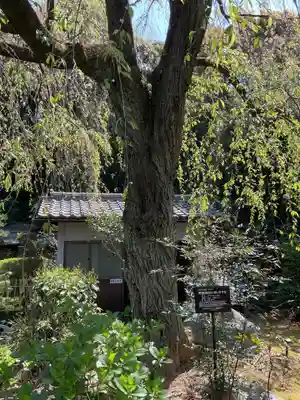 萬祥山常福寺(愛知県)