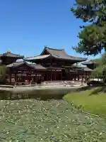 平等院の{uncategorized: "未分類", other: "その他", undefined: "問題あり", building: "その他建物", grave: "お墓", sacred_gate: "鳥居", guardian: "狛犬", statue: "像", buddha: "仏像", history: "歴史", nature: "自然", garden: "庭園", animal: "動物", pagoda: "塔", temizu: "手水舎", mountain_gate: "山門・神門", sanctuary: "本殿・本堂", subordinate: "末社・摂社", art: "芸術", scenery: "景色", jizo: "地蔵", ema: "絵馬", goshuin: "御朱印", omikuji: "おみくじ", items: "授与品その他", amulet: "お守り", goshuincho: "御朱印帳", eats: "食事", festival: "お祭り", votive_dance: "神楽", shichigosan: "七五三参", wedding: "結婚式", experience: "体験その他", initially: "初詣", around: "周辺", anti_infection: "感染症対策"}