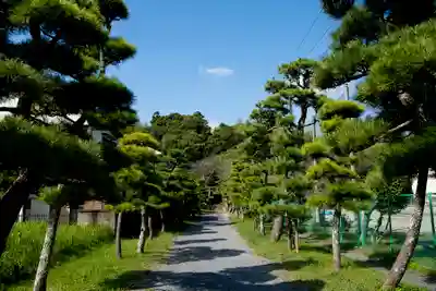 竹内神社(千葉県)