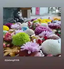 滑川神社 - 仕事と子どもの守り神の手水