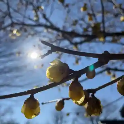 横浜　西方寺(神奈川県)