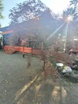 冠稲荷神社のその他建物