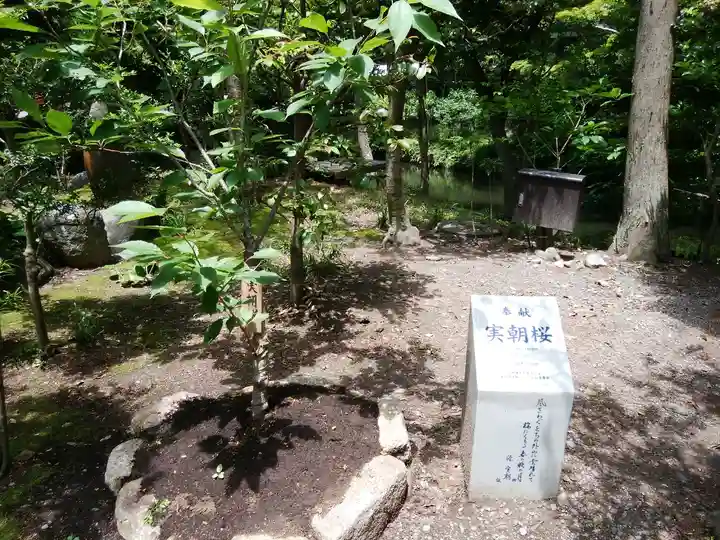 鶴岡八幡宮(神奈川県)