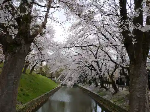 金峯神社の{uncategorized: "未分類", other: "その他", undefined: "問題あり", building: "その他建物", grave: "お墓", sacred_gate: "鳥居", guardian: "狛犬", statue: "像", buddha: "仏像", history: "歴史", nature: "自然", garden: "庭園", animal: "動物", pagoda: "塔", temizu: "手水舎", mountain_gate: "山門・神門", sanctuary: "本殿・本堂", subordinate: "末社・摂社", art: "芸術", scenery: "景色", jizo: "地蔵", ema: "絵馬", goshuin: "御朱印", omikuji: "おみくじ", items: "授与品その他", amulet: "お守り", goshuincho: "御朱印帳", eats: "食事", festival: "お祭り", votive_dance: "神楽", shichigosan: "七五三参", wedding: "結婚式", experience: "体験その他", initially: "初詣", around: "周辺", anti_infection: "感染症対策"}