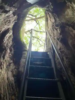 熊野那智大社(和歌山県)