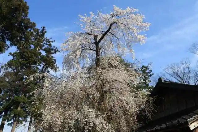 榊神社の庭園