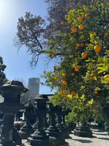 上野東照宮の{uncategorized: "未分類", other: "その他", undefined: "問題あり", building: "その他建物", grave: "お墓", sacred_gate: "鳥居", guardian: "狛犬", statue: "像", buddha: "仏像", history: "歴史", nature: "自然", garden: "庭園", animal: "動物", pagoda: "塔", temizu: "手水舎", mountain_gate: "山門・神門", sanctuary: "本殿・本堂", subordinate: "末社・摂社", art: "芸術", scenery: "景色", jizo: "地蔵", ema: "絵馬", goshuin: "御朱印", omikuji: "おみくじ", items: "授与品その他", amulet: "お守り", goshuincho: "御朱印帳", eats: "食事", festival: "お祭り", votive_dance: "神楽", shichigosan: "七五三参", wedding: "結婚式", experience: "体験その他", initially: "初詣", around: "周辺", anti_infection: "感染症対策"}