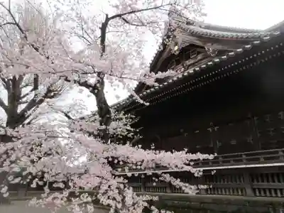 寛永寺(根本中堂)のその他建物