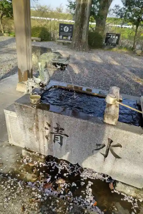 白髭神社の手水舎
