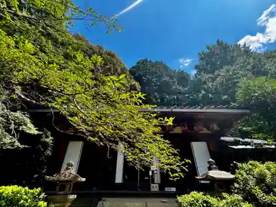 尊勝院(京都府)