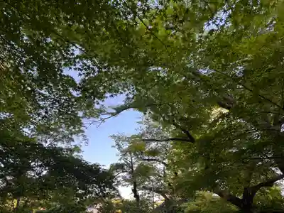光明寺（粟生光明寺）(京都府)