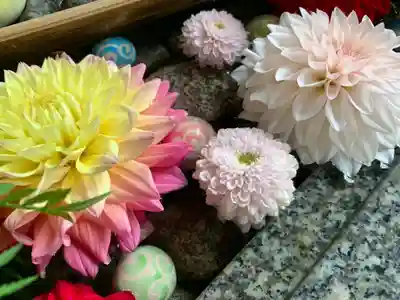 滑川神社 - 仕事と子どもの守り神の手水舎