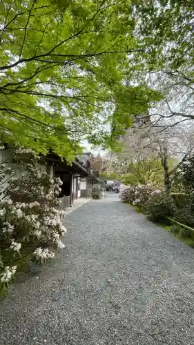 三千院門跡(京都府)