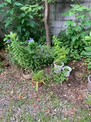 蔵前神社(東京都)