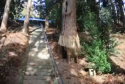 白山比咩神社(福島県)