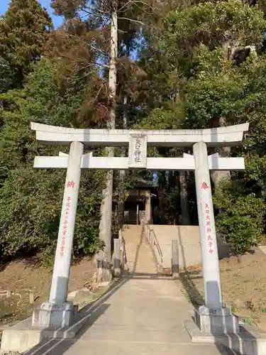 矢口神社の鳥居