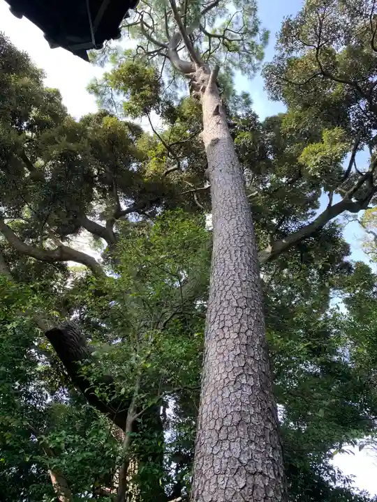 水晶六所神社の自然