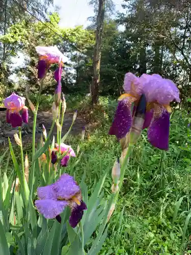 牟禮山観音禅寺(滋賀県)