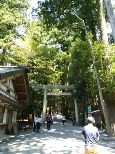 椿大神社の鳥居