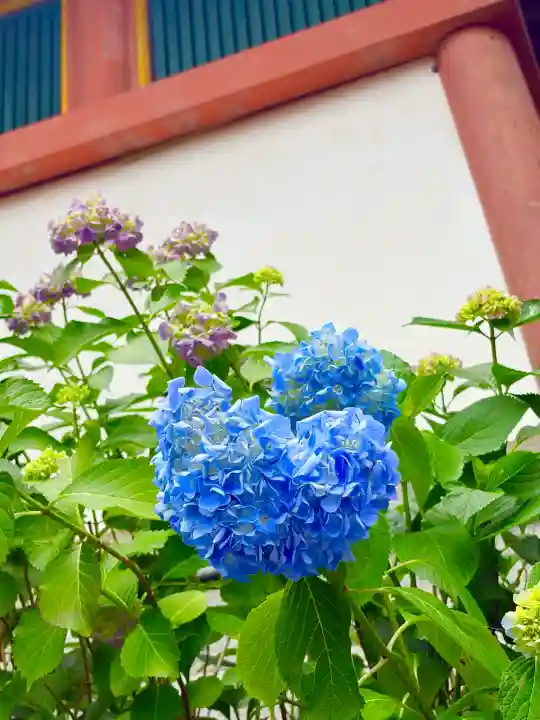 南法華寺(壷阪寺)(奈良県)