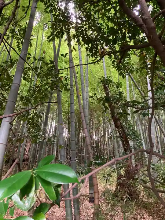 武州柿生琴平神社の周辺