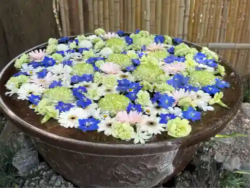 武蔵一宮氷川神社(埼玉県)