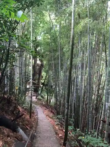 神龍八大龍王神社の建物その他