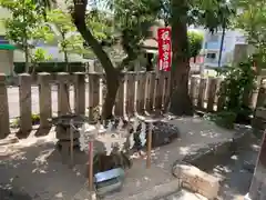 素盞嗚神社(兵庫県)