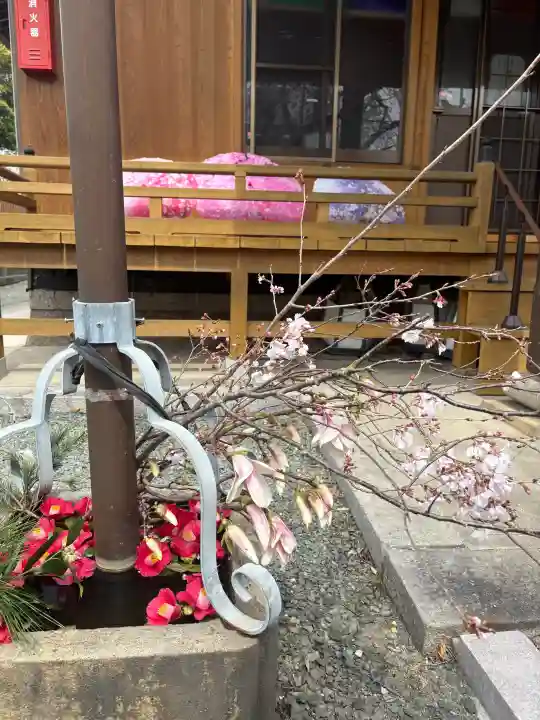 源空院(浅井寺)の{uncategorized: "未分類", other: "その他", undefined: "問題あり", building: "その他建物", grave: "お墓", sacred_gate: "鳥居", guardian: "狛犬", statue: "像", buddha: "仏像", history: "歴史", nature: "自然", garden: "庭園", animal: "動物", pagoda: "塔", temizu: "手水舎", mountain_gate: "山門・神門", sanctuary: "本殿・本堂", subordinate: "末社・摂社", art: "芸術", scenery: "景色", jizo: "地蔵", ema: "絵馬", goshuin: "御朱印", omikuji: "おみくじ", items: "授与品その他", amulet: "お守り", goshuincho: "御朱印帳", eats: "食事", festival: "お祭り", votive_dance: "神楽", shichigosan: "七五三参", wedding: "結婚式", experience: "体験その他", initially: "初詣", around: "周辺", anti_infection: "感染症対策"}