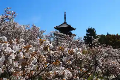 仁和寺(京都府)