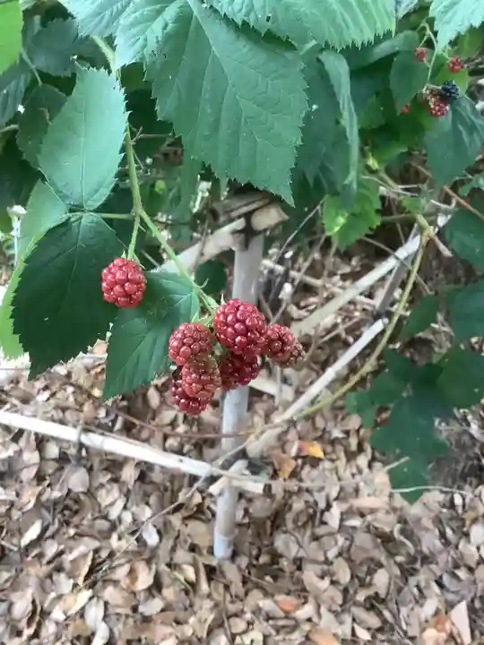 多奈波太神社(愛知県)