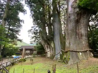 八坂神社(高知県)
