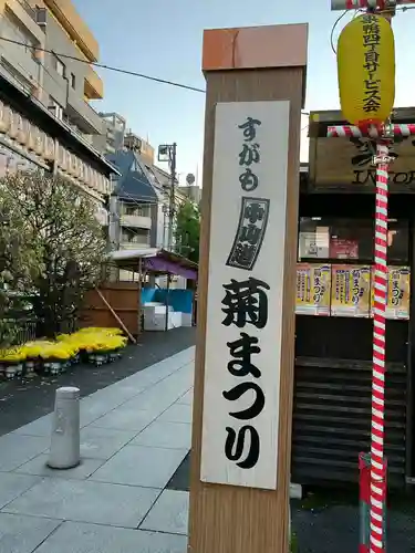眞性寺(東京都)