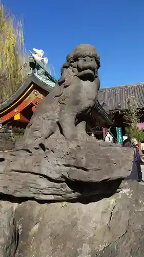 浅草神社の狛犬