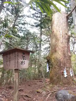 本宮神社（日光二荒山神社別宮）(栃木県)