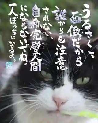 専念寺(大阪府)