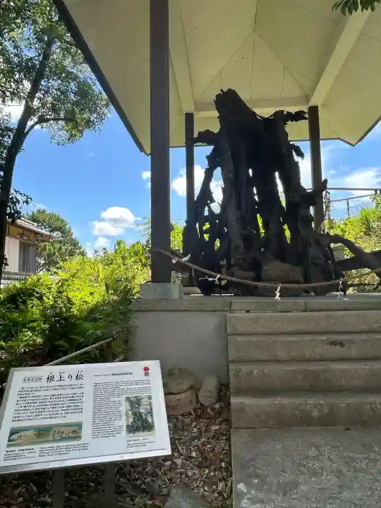 玉津島神社(和歌山県)