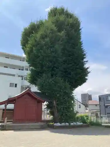 熊野神社(神奈川県)