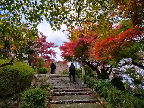 善峯寺(京都府)