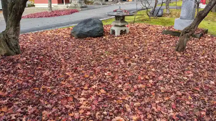 鷹栖神社の自然