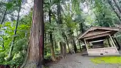 日枝神社(福井県)